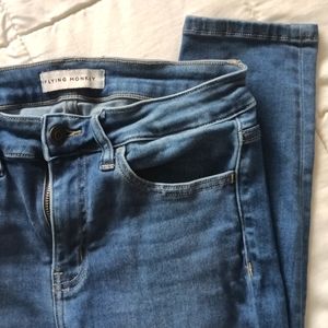 Flying Monkey Skinny 27 Jeans/Jeggings